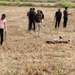 खेत में मिला युवक का शव — खरसिया में सनसनी, हत्या का मामला दर्ज