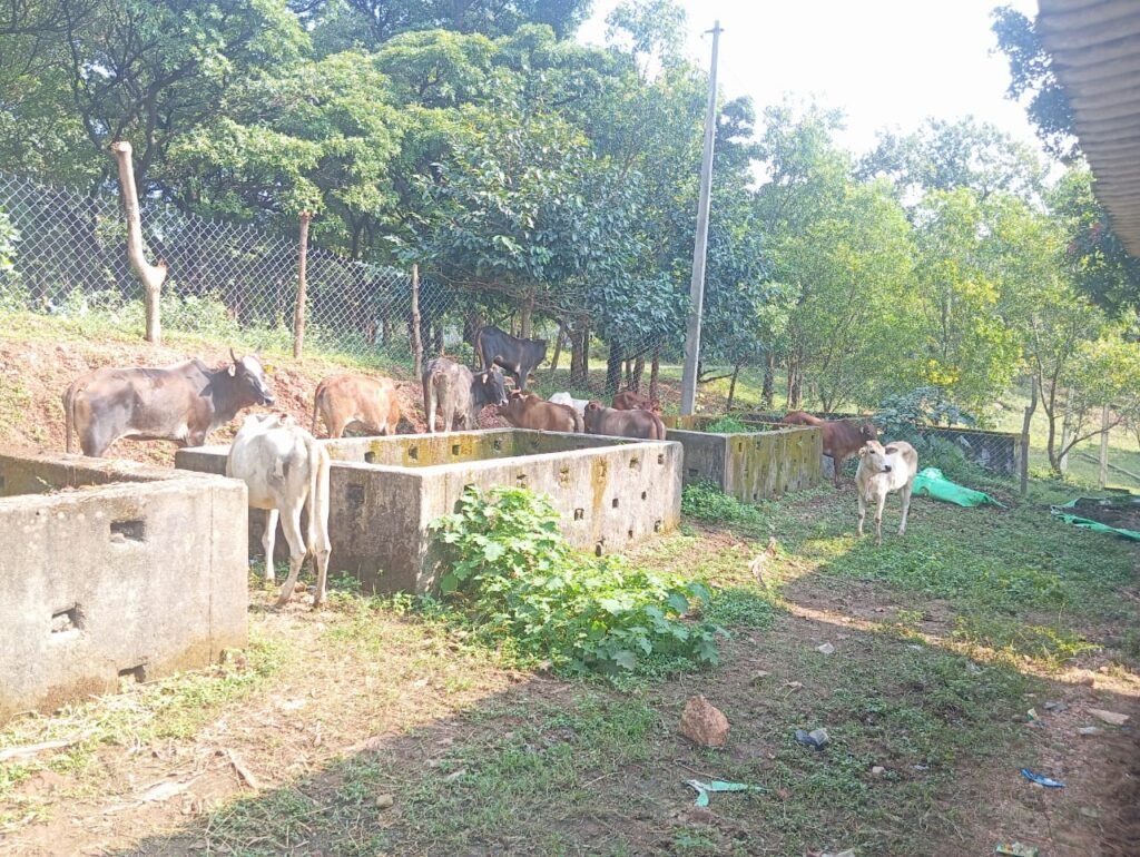 IMG-20260929-WA0005
